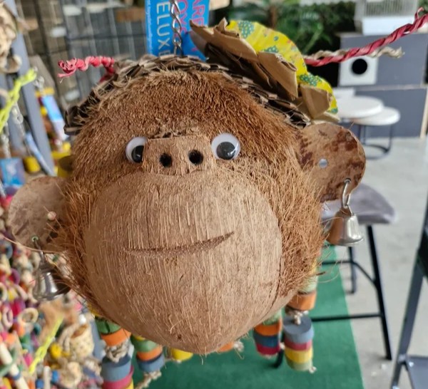 Ms monkey, houten speelgoed aaphoofd voor papegaaien